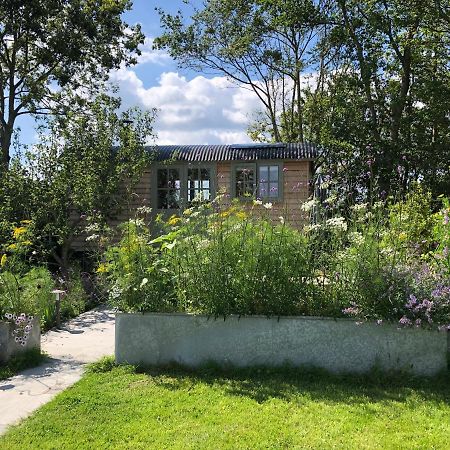 Little Plovers Shepherd Hut Villa Chichester Exterior photo