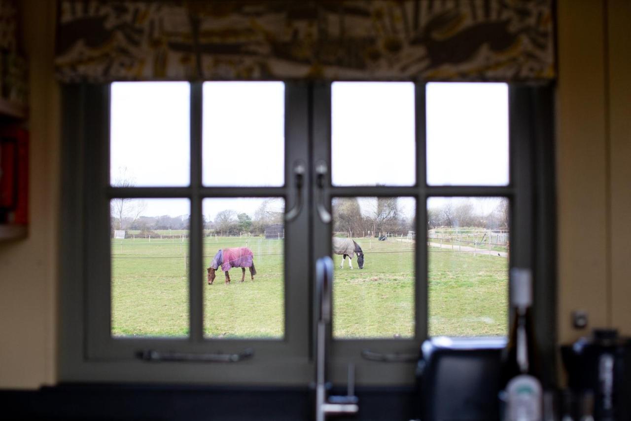 Little Plovers Shepherd Hut Villa Chichester Exterior photo