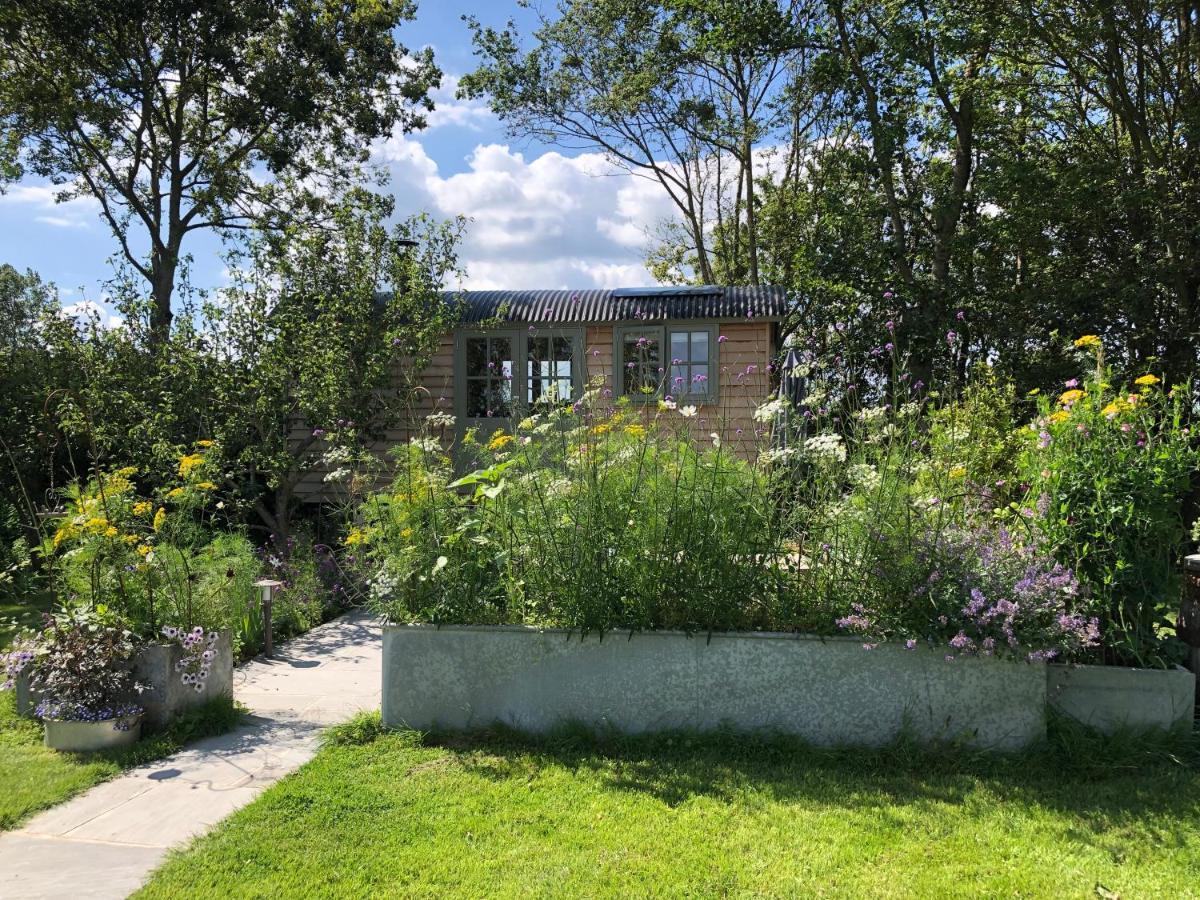 Little Plovers Shepherd Hut Villa Chichester Exterior photo