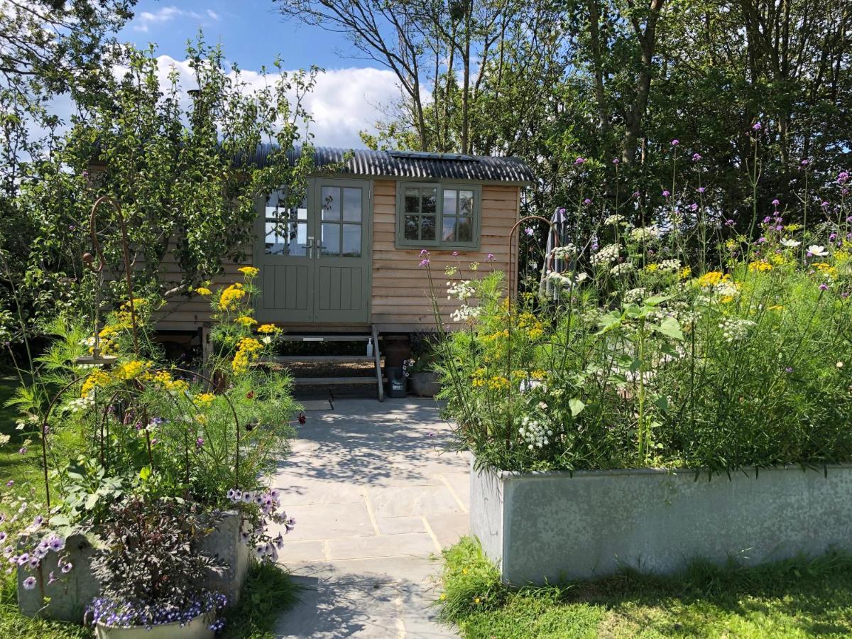 Little Plovers Shepherd Hut Villa Chichester Exterior photo