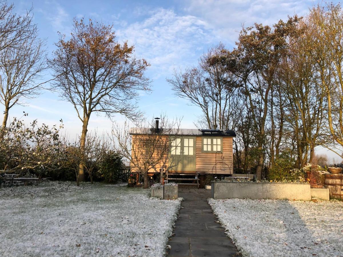 Little Plovers Shepherd Hut Villa Chichester Exterior photo